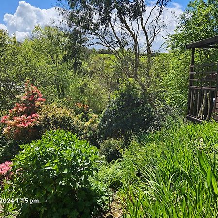 Treetops Lodge, Private Parking & Garden Truro Exterior photo