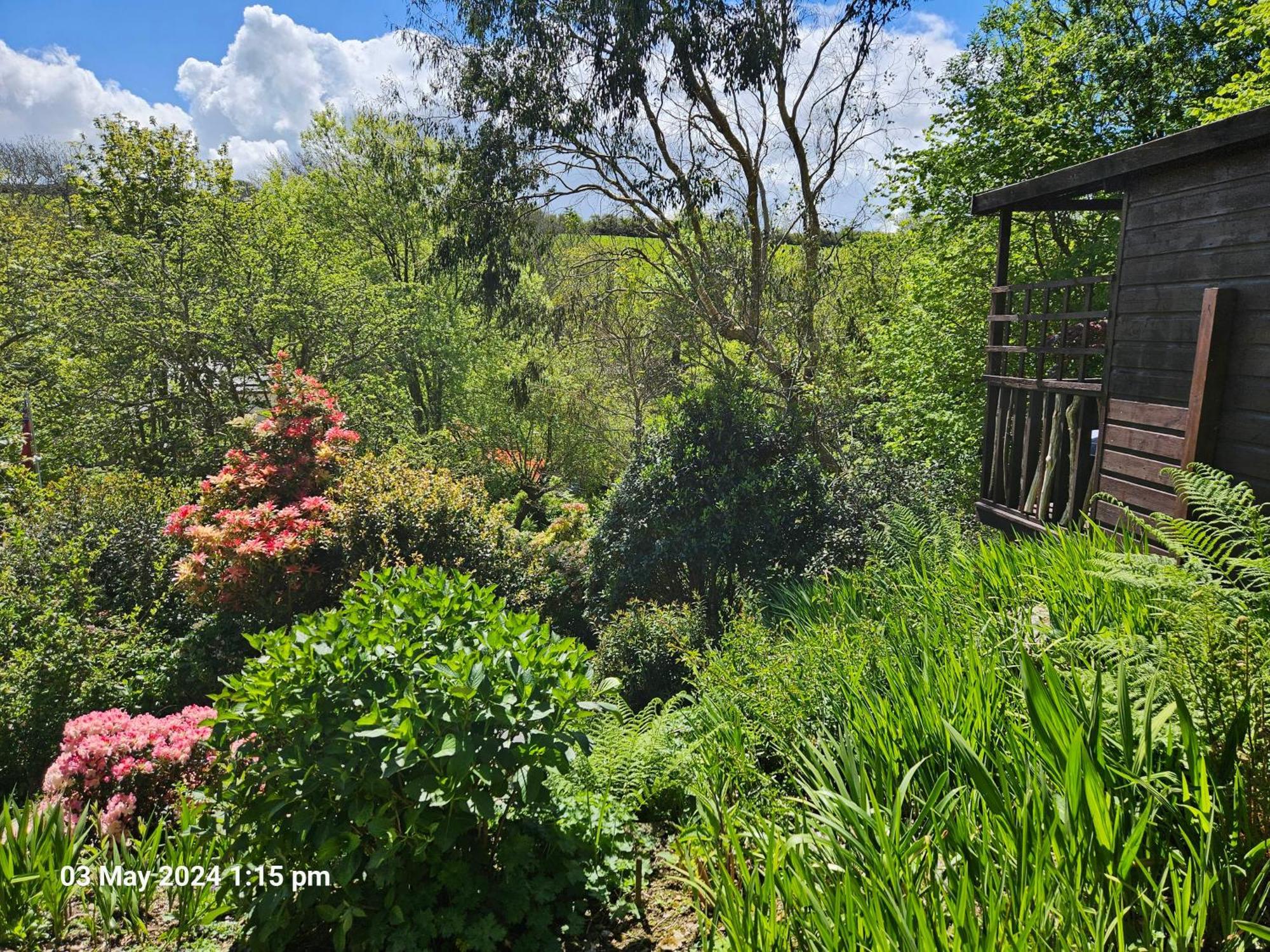 Treetops Lodge, Private Parking & Garden Truro Exterior photo