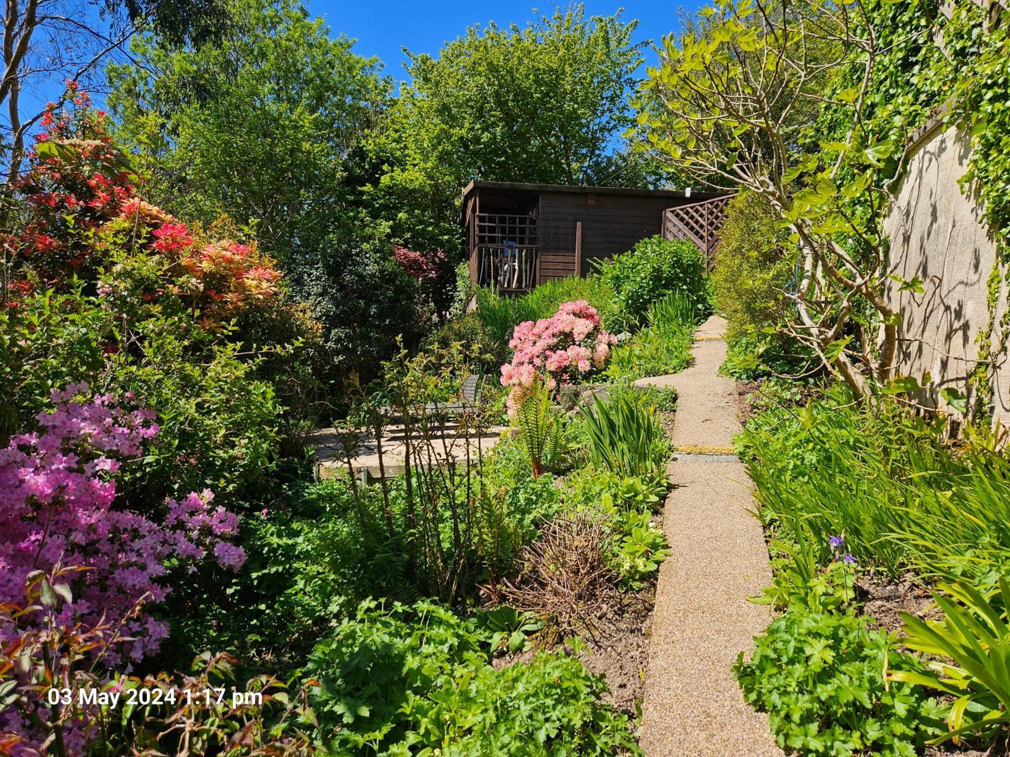 Treetops Lodge, Private Parking & Garden Truro Exterior photo