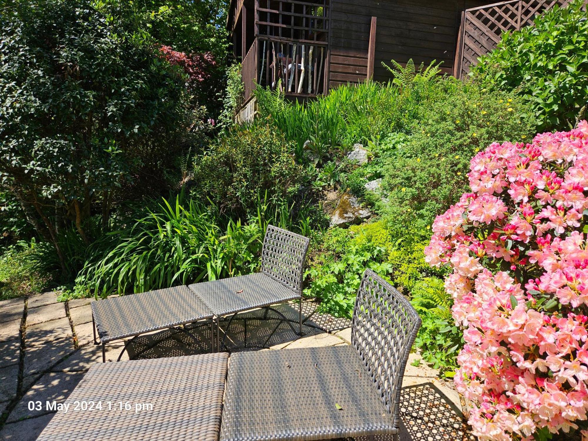 Treetops Lodge, Private Parking & Garden Truro Exterior photo