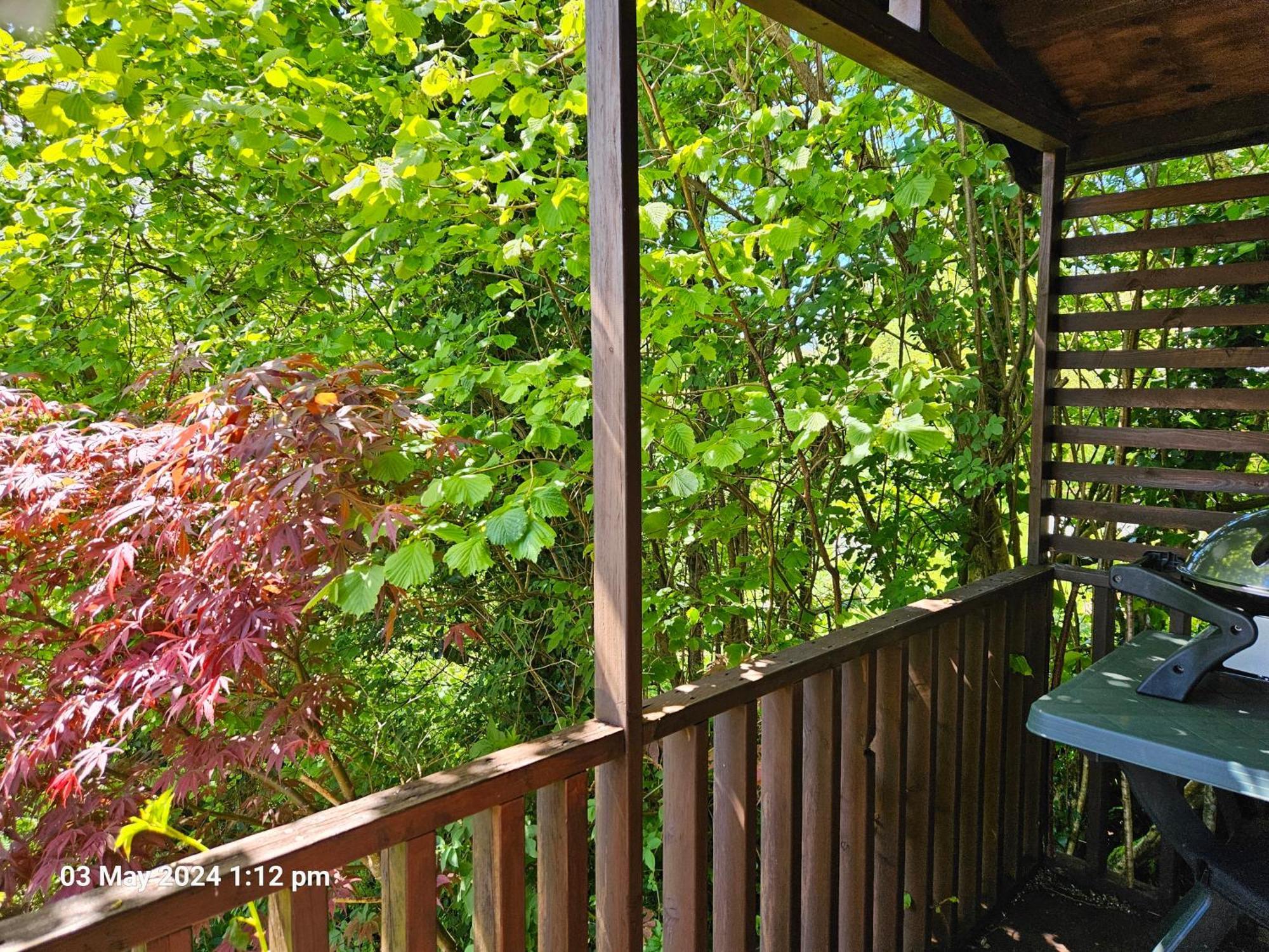 Treetops Lodge, Private Parking & Garden Truro Exterior photo
