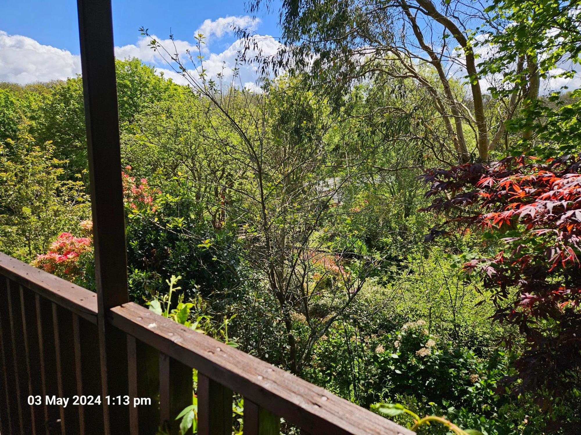 Treetops Lodge, Private Parking & Garden Truro Exterior photo